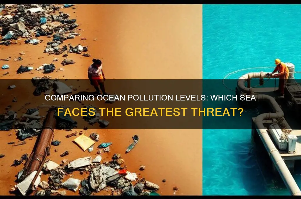 which ocean has more polition