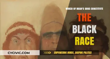 Noah's Sons: The Black Race's Origin?