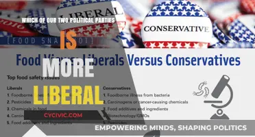 Liberal Leanings: Comparing the Democratic and Republican Parties' Ideologies