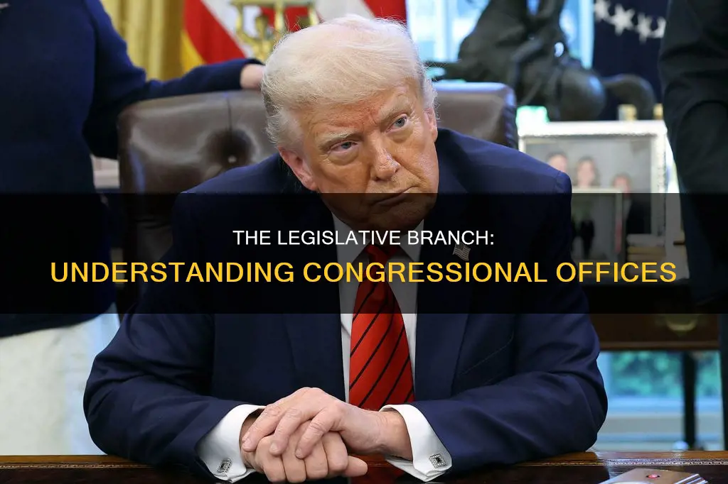 which of the congressional offices are mandated by the constitution