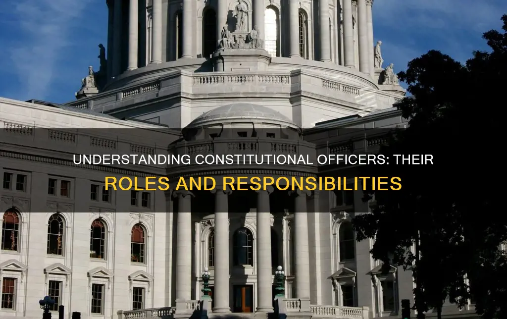 which of the following accurately describes constitutional officers