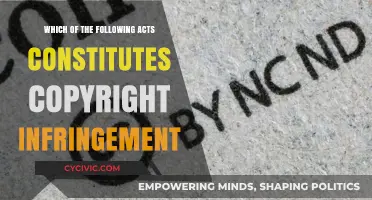 Understanding Copyright Infringement: What Actions Break the Law?