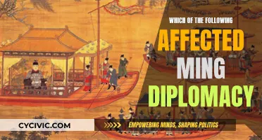 Ming Diplomacy: Challenges and Influence