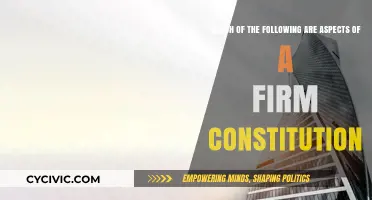 Key Elements of a Firm's Constitution