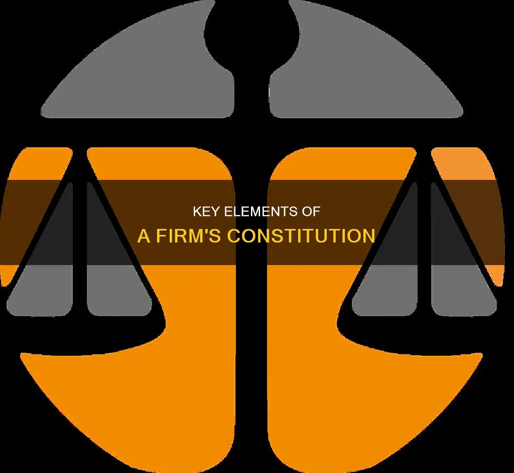 which of the following are aspects of a firm constitution