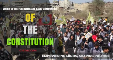 The Constitution's Basic Components: Understanding the Foundation
