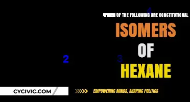 Hexane's Surprising Isomeric Possibilities