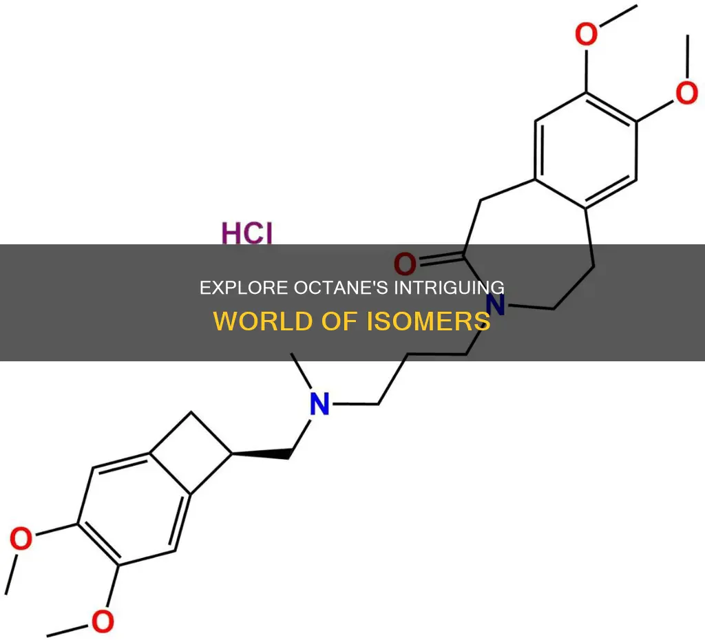 which of the following are constitutional isomers of octane