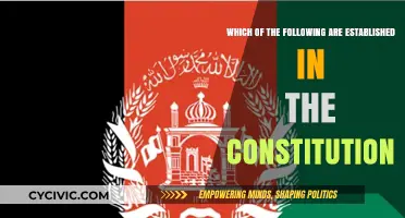 The Constitution's Established Principles