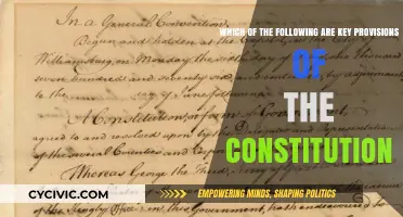 The Constitution's Key Provisions: