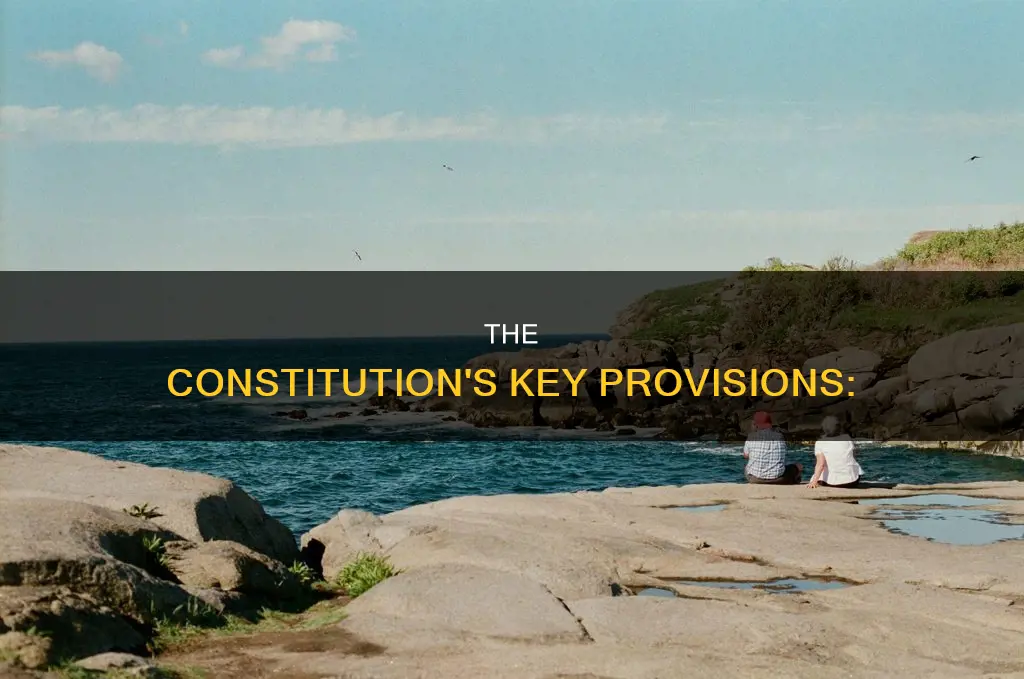 which of the following are key provisions of the constitution: