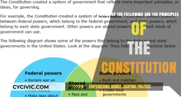 The Constitution's Guiding Principles Explained