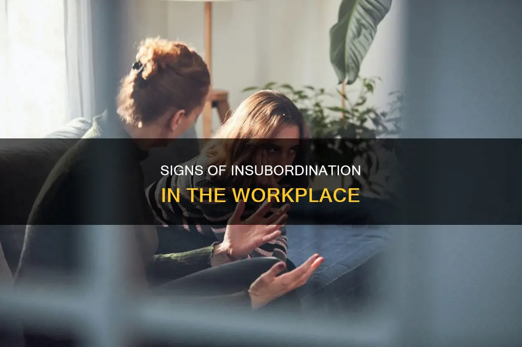 which of the following behaviors would constitute insubordination