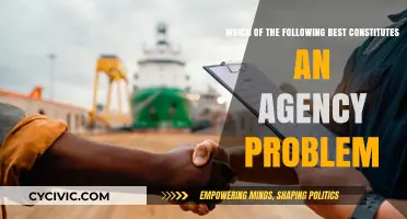 Understanding Agency Problems: What Constitutes an Issue?