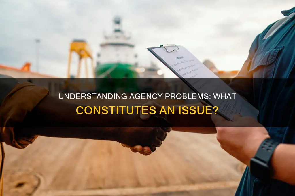 which of the following best constitutes an agency problem