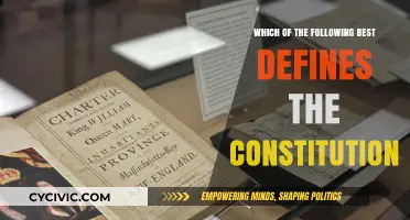 The Constitution: Our Founding Document's Definition