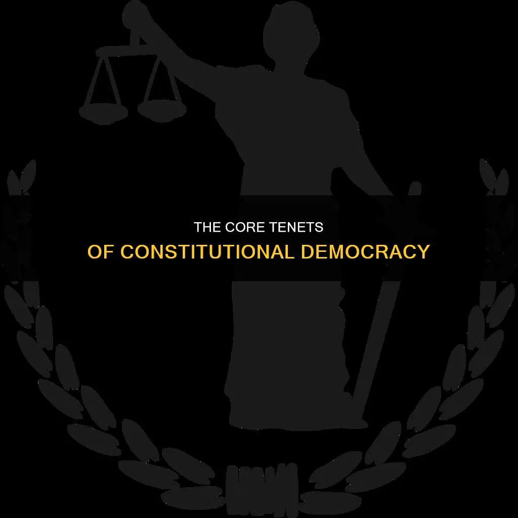which of the following best described a constitutional democracy