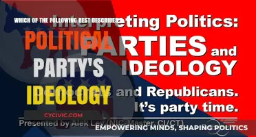 Understanding Political Party Ideologies: Core Beliefs and Principles Explained