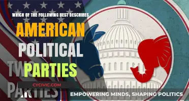 Understanding the Core Nature of American Political Parties: A Comprehensive Analysis