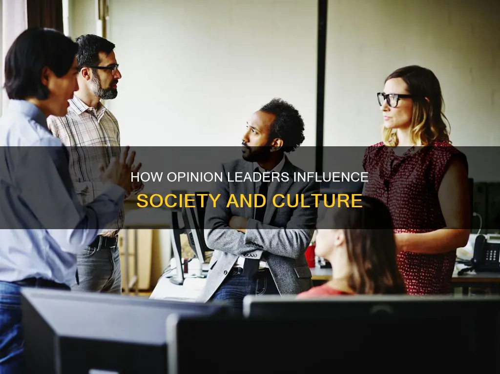 which of the following best describes an opinion leader