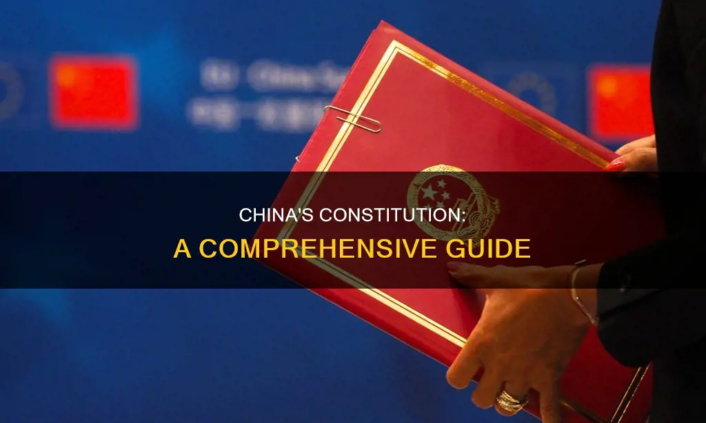 which of the following best describes china