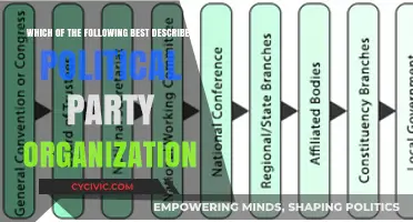 Understanding Political Party Organization: Structure, Hierarchy, and Functionality Explained