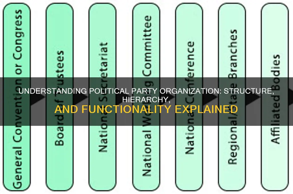 which of the following best describes political party organization