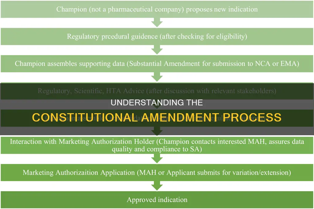 which of the following best describes the constitutional amendment process