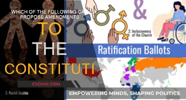 Amendments: Who Can Propose Constitutional Changes?