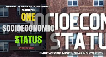 Socioeconomic Status: The Defining Characteristics