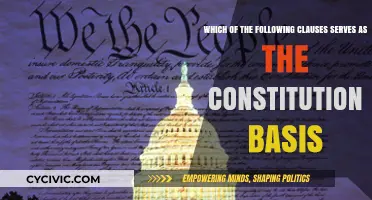 The Constitutional Basis: Understanding the Core Clauses