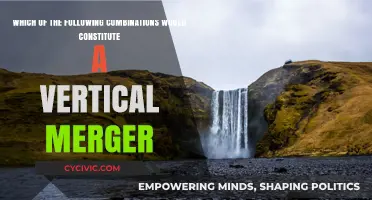 Vertical Merger Combinations: Exploring Potential Synergies