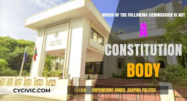 Exploring Non-Constitutional Bodies: Commissions in Focus