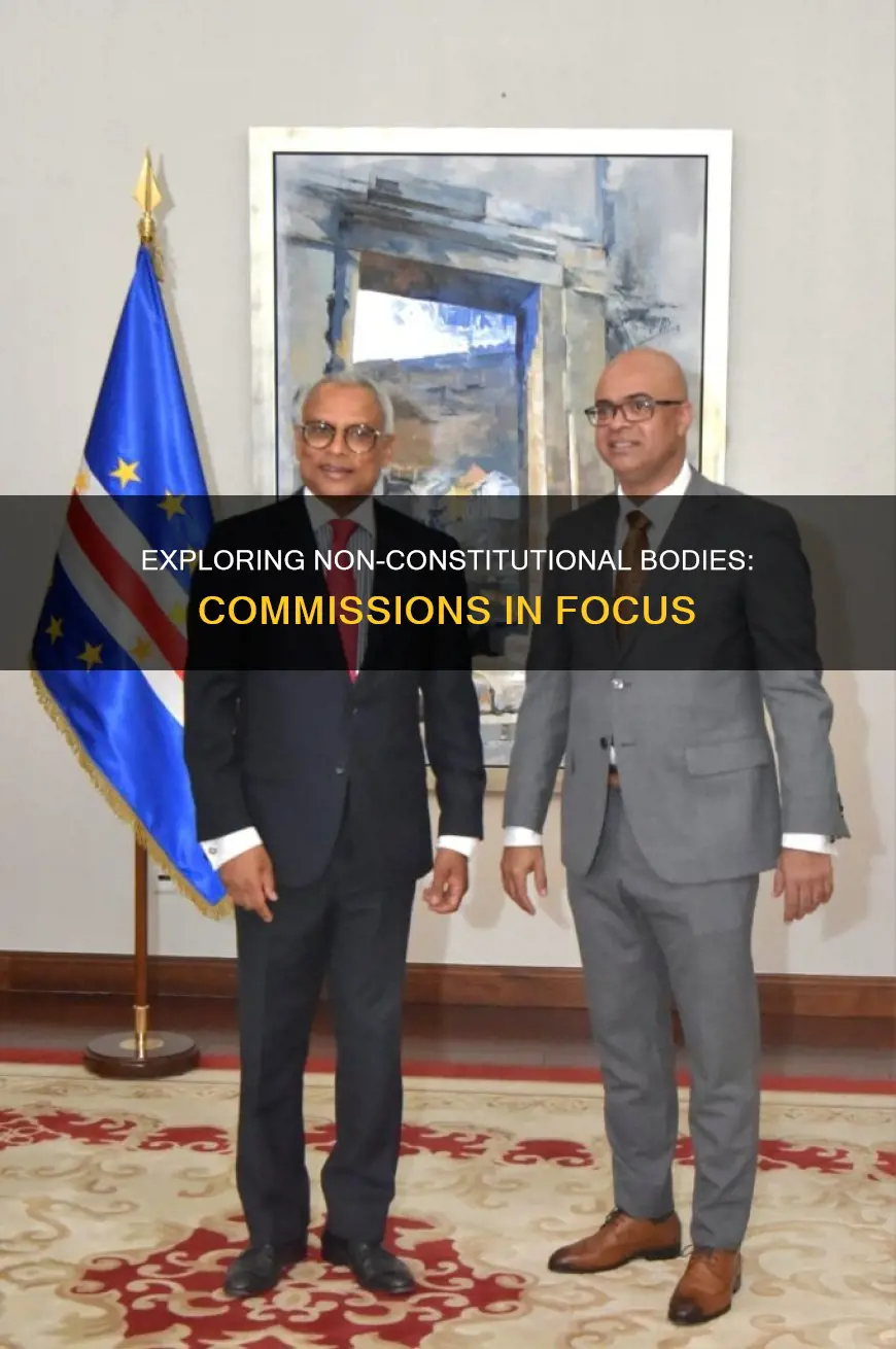 which of the following commission is not a constitutional body