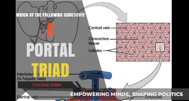 What Makes Up a Portal Triad?