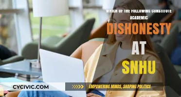 SNHU's Academic Integrity: What You Need to Know