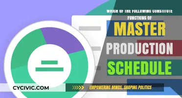 Master Production Schedule: Key Functions and Features