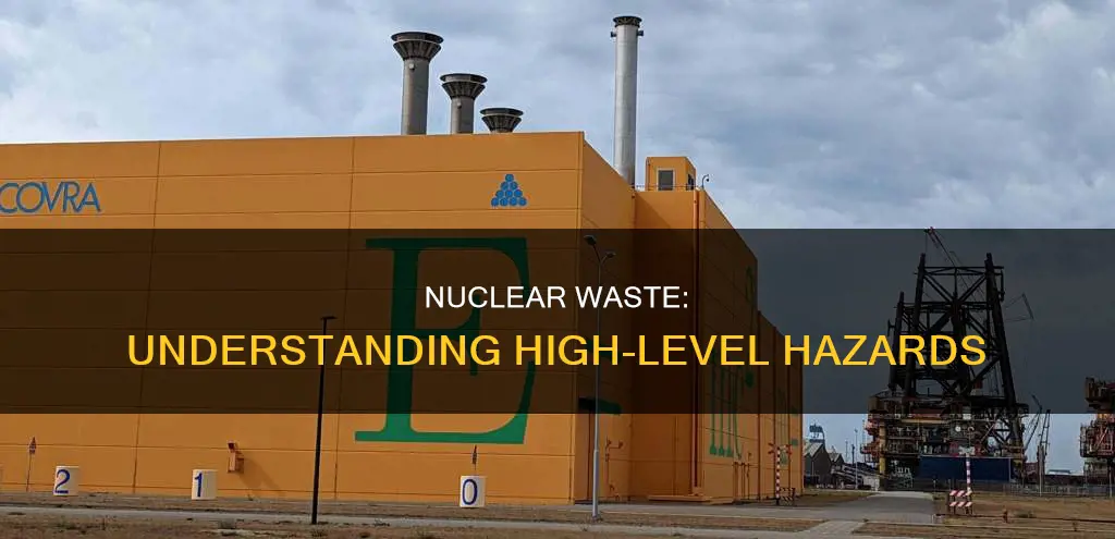 which of the following constitute high-level nuclear wastes