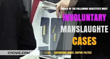 Manslaughter Cases: Common Causes and Involuntary Nature