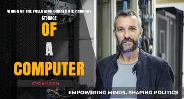 Understanding Primary Computer Storage Options