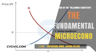 Microeconomics Fundamentals: Understanding the Core Principles