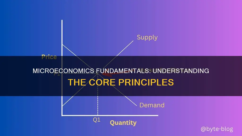 which of the following constitute the fundamental microeconomics