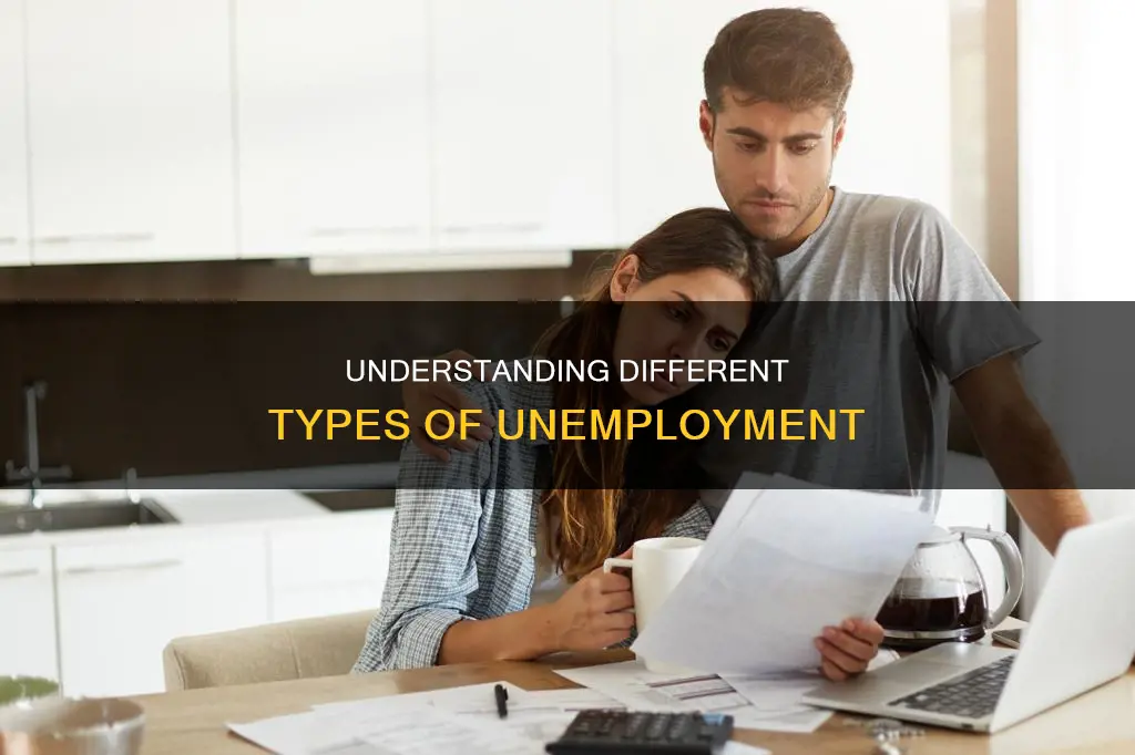which of the following constitute the types of unemployment