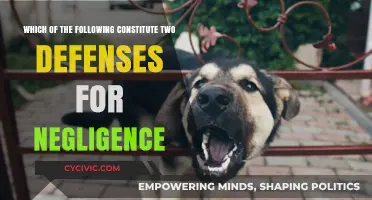 Defenses Against Negligence: Strategies and Their Legality