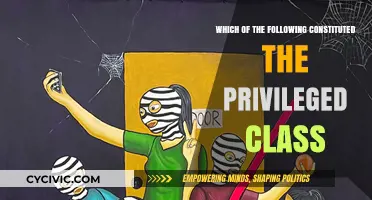 The Privileged Class: Who Are They and Why?