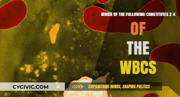 Basics of WBCs: Understanding the 2-4 Percentile