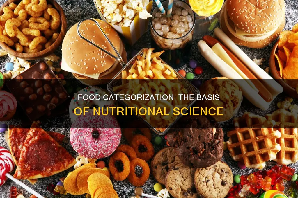 which of the following constitutes a basis for categorizing foods