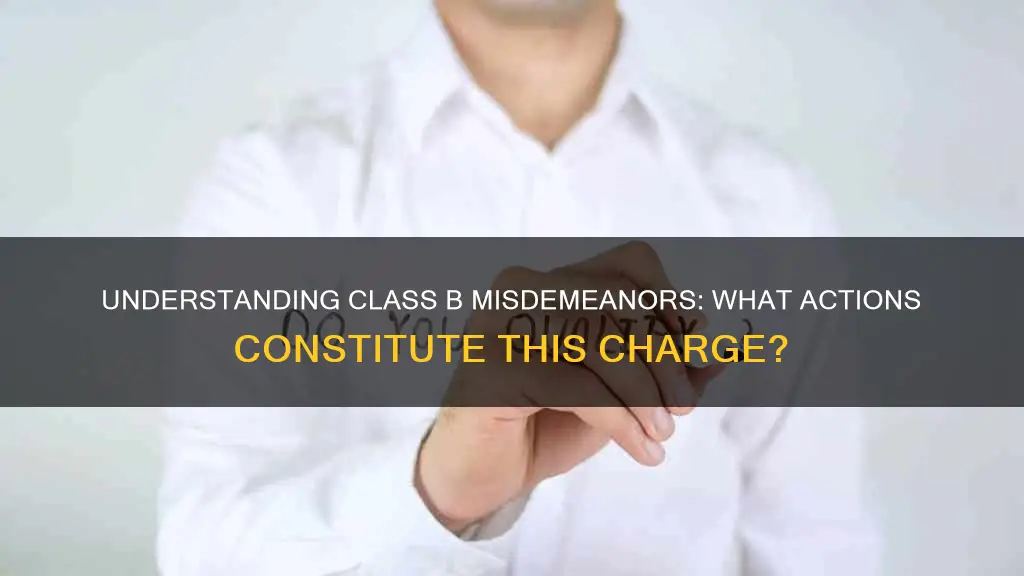 which of the following constitutes a class b misdeanor