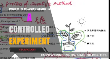 Key Elements of a Controlled Experiment