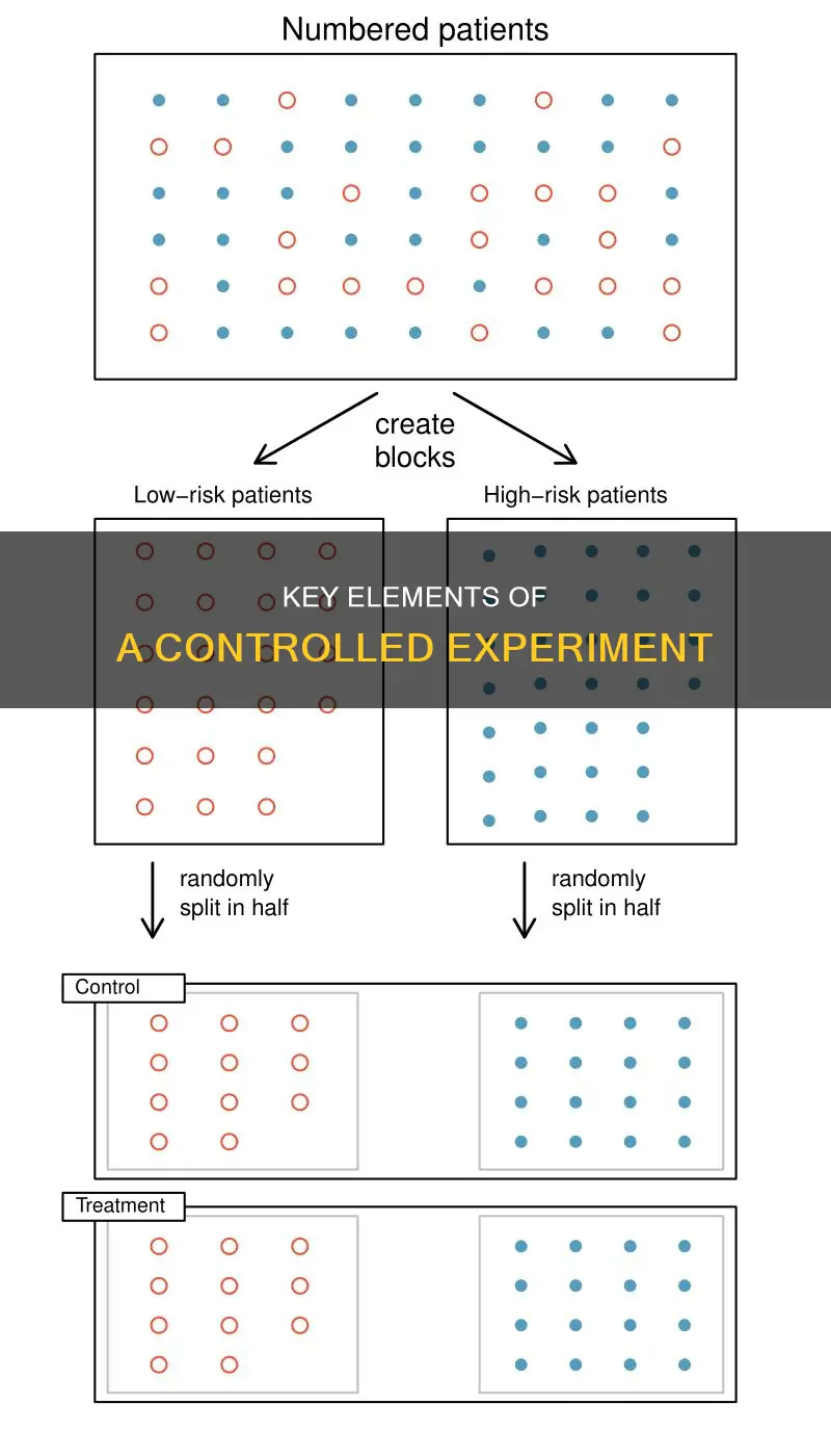 which of the following constitutes a controlled experiment